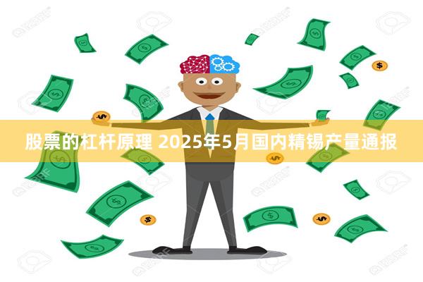 股票的杠杆原理 2025年5月国内精锡产量通报