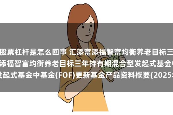股票杠杆是怎么回事 汇添富添福智富均衡养老目标三年混合(FOF): 汇添富添福智富均衡养老目标三年持有期混合型发起式基金中基金(FOF)更新基金产品资料概要(2025年06月20日更新)